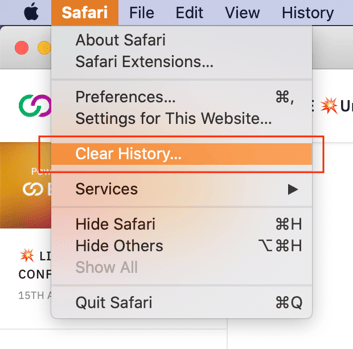 safari show browser cache